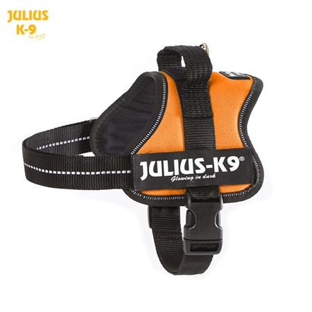 Julius K-9 Powersele Baby 2 Orange